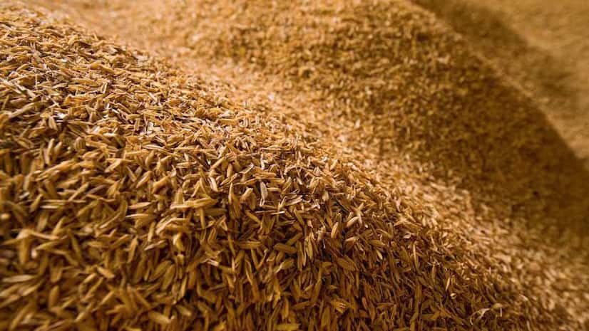 Philippines eyes India, Thailand rice to cut Vietnam reliance