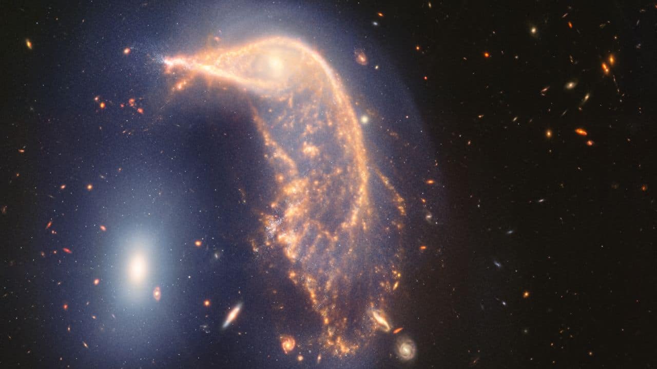 Penguin and Egg Nebula: The Penguin and Egg Nebula, or NGC 2936, is a galactic pair resembling a mother penguin guarding an egg. Located 326 million light-years away, it features a spiral galaxy distorted by gravitational interactions. (Image: NASA) 