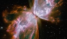 Top 10 mind-blowing animal-shaped nebula images shared by NASA Top 10 mind-blowing animal-shaped nebula images shared by NASA