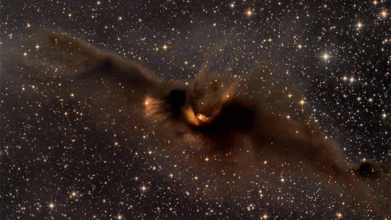 Bat Nebula: The Bat Nebula, or NGC 6995, is part of the Veil Nebula and resembles outstretched bat wings in deep space. Formed by a supernova explosion, this vast structure is 2,100 light-years away. Its glowing filaments of ionised gas, captured by NASA, create an eerie yet breathtaking celestial formation. (Image: NASA)