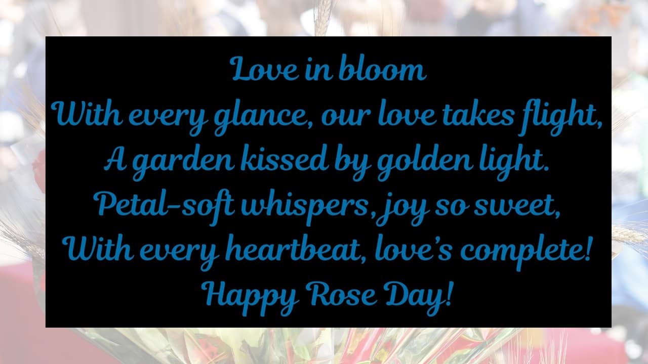 Happy Rose Day for Valentines Week