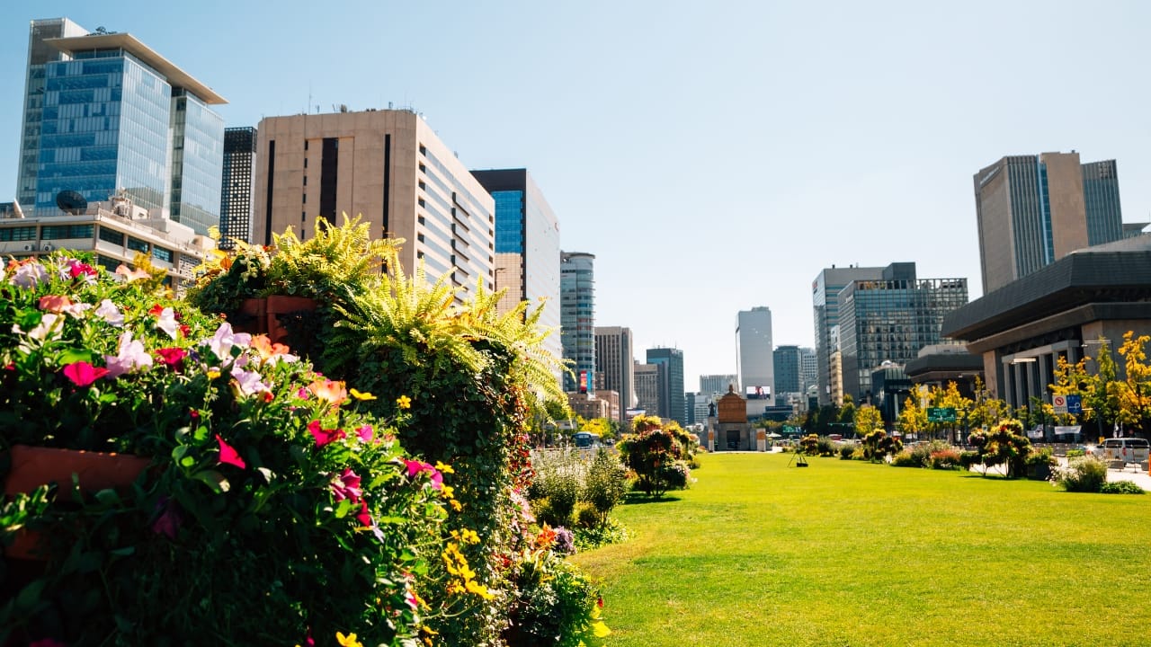 8. Gwanghwamun Square – Where Drama Meets History Gwanghwamun Square is where history and modern drama collide. It played a pivotal role in The King: Eternal Monarch and Mr. Sunshine, making it a must-visit for history buffs and drama fans alike. Surrounded by grand palaces and cultural landmarks, it’s the perfect place to relive dramatic K-drama moments while learning about Korea’s past. Must-Do: Pose in front of the King Sejong statue for a powerful, drama-worthy shot. (Image: Canva)