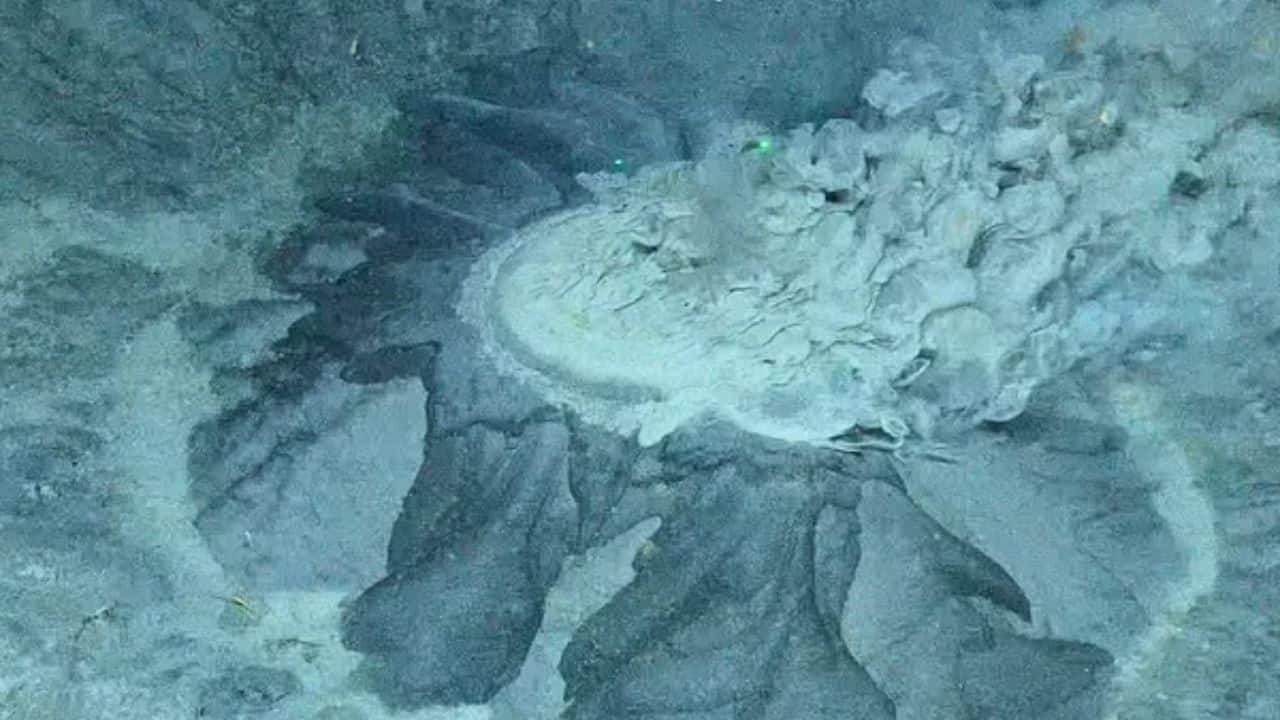 A deep sea mystery: Scientists found something ancient and strange at the bottom of Arctic Ocean