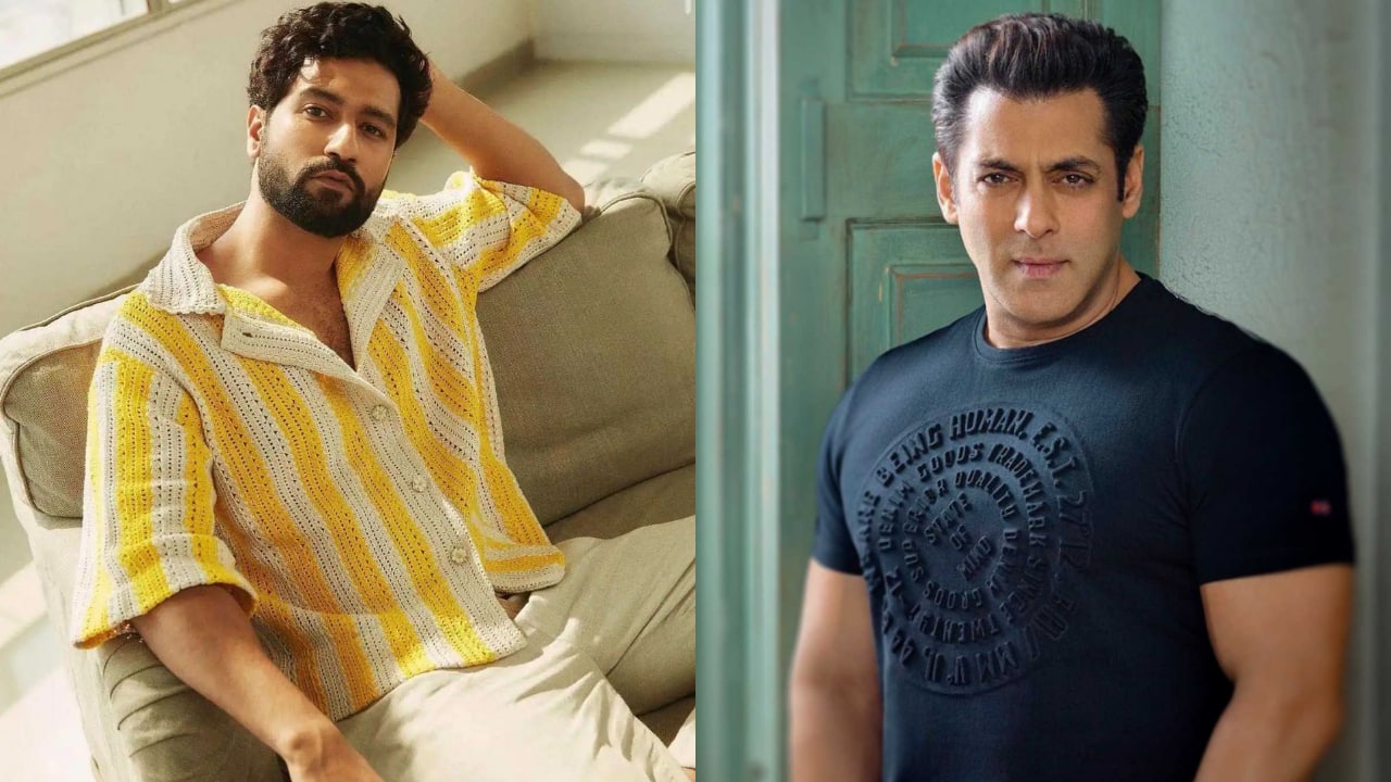 From Vicky Kaushal to Hrithik Roshan: A look at the stars who would surely dominate 2025