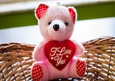 Happy Teddy Day 2025: Wishes, images, messages and quotes to share