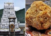 Tirupati ‘laddu’ row: Supreme Court stays Andhra Pradesh High Court order faulting CBI over probe