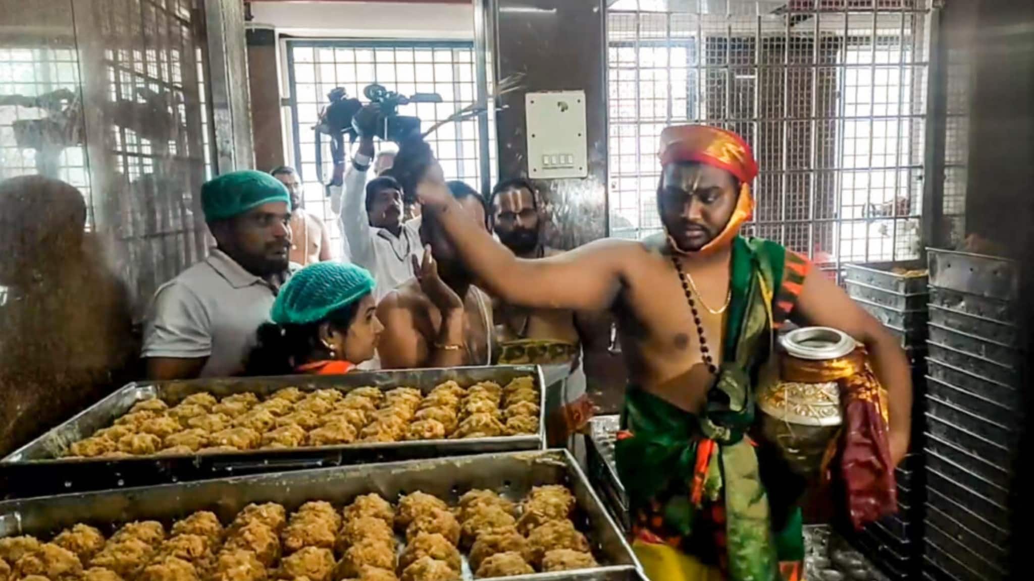 Tirumala laddu scam: Blacklisted dairy firm caught using proxy suppliers Tirumala laddu scam: Blacklisted dairy firm caught using proxy suppliers
