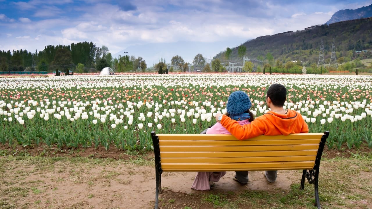 Love isn’t just about one day in February—it’s about moments that take your breath away all year long. For couples who find romance in nature’s beauty, some of the most stunning floral destinations around the world offer the perfect escape. Whether it’s walking through a tunnel of cherry blossoms, gliding across a lake surrounded by tulips, or wandering through a valley bursting with wildflowers, these destinations turn ordinary getaways into unforgettable love stories. According to Skyscanner’s Travel Trends 2025 report, Indian travelers are embracing nature like never before—90% say they love visiting gardens while on holiday. If flowers, scenic landscapes, and unforgettable experiences are your idea of romance, here are six must-visit destinations that bloom with love all year round. (Image: Canva)