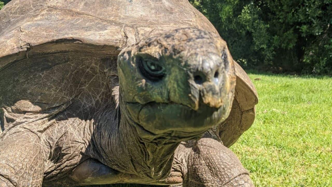 Early Life: Born in 1832, Jonathan was already alive when the first photographs were taken and the first postage stamps were issued. (Image: @Will_Tanner_1/X)