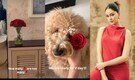 Ananya Panday decorates her house with Red Roses ahead of Valentine's day