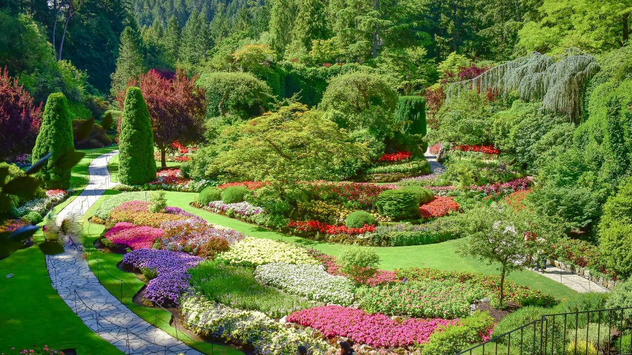3. Butchart Gardens, Canada Location: Victoria, Canada Best time to visit: March to June Hidden in British Columbia, Butchart Gardens is a storybook setting filled with winding paths, vibrant tulips, cherry blossoms, and daffodils. The Sunken Garden, a breathtaking blend of colorful flowers set against lush greenery and peaceful ponds, is the highlight of this 55-acre paradise. (Image: Canva)