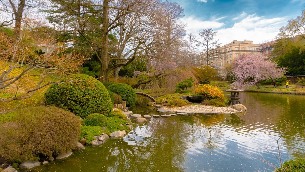 5. Brooklyn Botanic Garden, USA Location: Brooklyn, New York, USA Best time to visit: April Spring in New York is special, and nowhere is it more breathtaking than at the Brooklyn Botanic Garden. The Cherry Esplanade, with its rows of pink blossoms, is the main attraction in April. The Japanese Hill-and-Pond Garden, the Shakespeare Garden, and the Cranford Rose Garden add even more beauty to this urban oasis. (Image: Canva)