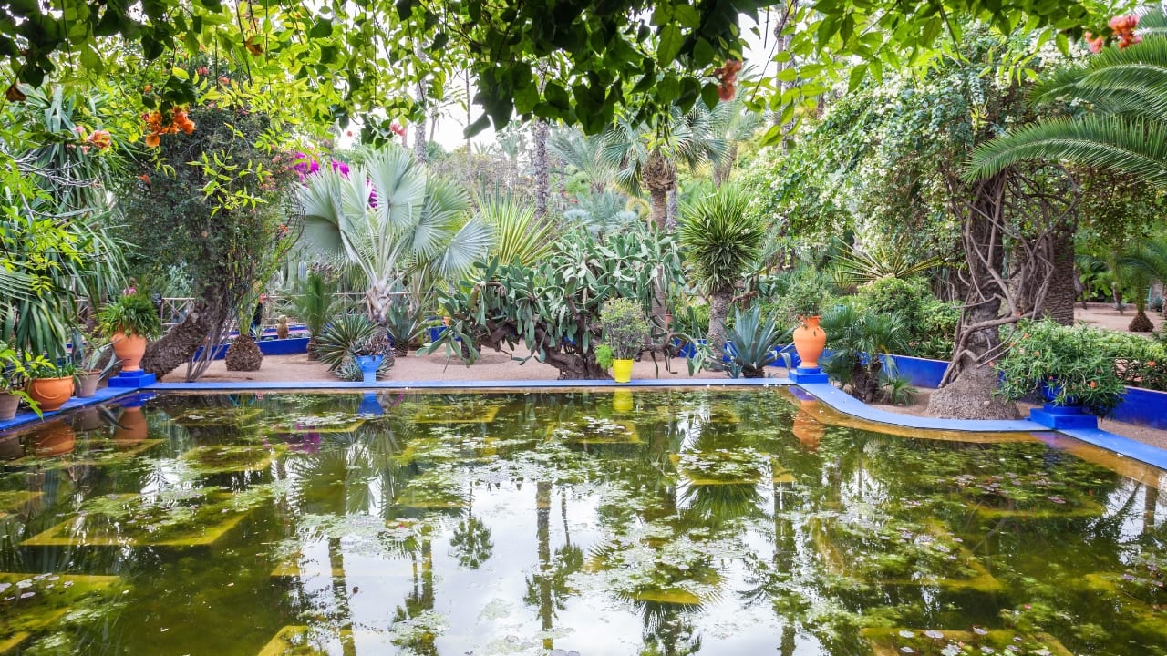 9. Jardin Majorelle, Morocco Location: Marrakech, Morocco Best time to visit: March to May Jardin Majorelle in Marrakech is a hidden paradise of vibrant colors and exotic plants. Originally designed by French artist Jacques Majorelle and later restored by Yves Saint Laurent, the garden is a peaceful retreat filled with bougainvillea, lilies, bamboo groves, and striking cobalt-blue architecture. (Image: Canva)