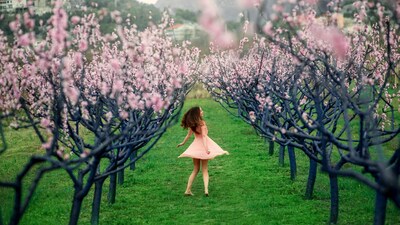 9 Stunning Spring Gardens That Will Take Your Breath Away
