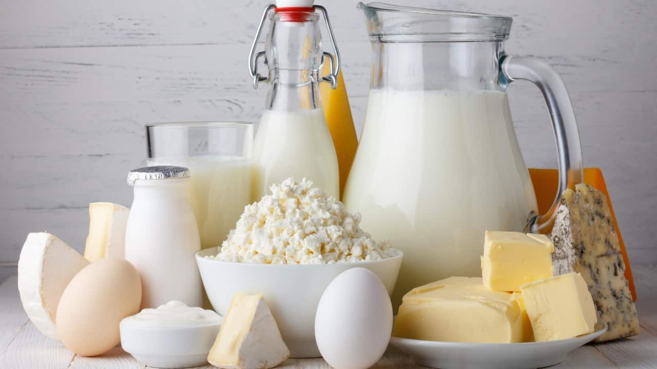 Fortified dairy: Many dairy products are fortified with vitamin D to help prevent deficiencies. A single glass of fortified milk contains around 120 IU of vitamin D, while yogurt and cheese also contribute to your daily intake. Choosing fortified dairy products is an easy way to boost vitamin D levels (Image: Canva) Fortified dairy: Many dairy products are fortified with vitamin D to help prevent deficiencies. A single glass of fortified milk contains around 120 IU of vitamin D, while yogurt and cheese also contribute to your daily intake. Choosing fortified dairy products is an easy way to boost vitamin D levels (Image: Canva)