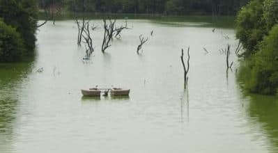 DDA identifies 811 water bodies in Delhi, 247 can't be restored DDA identifies 811 water bodies in Delhi, 247 can't be restored