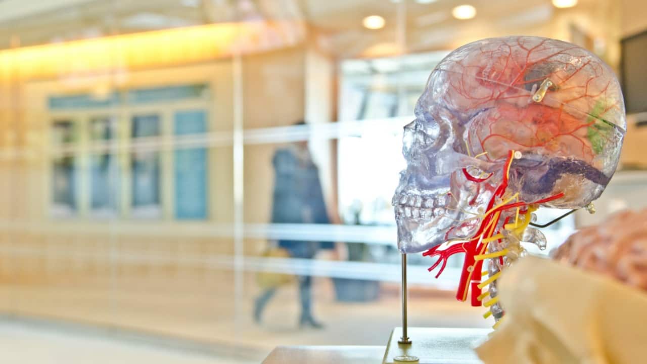 Expert who studied brain for 15 years shares a hack for sharper memory ...
