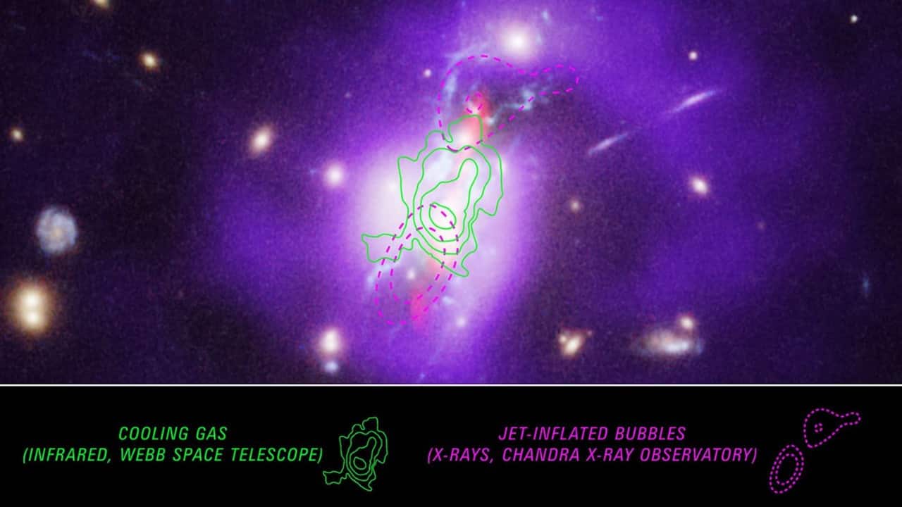 Spectroscopic data collected from NASA’s James Webb Space Telescope is overlayed on an image of the Phoenix cluster that combines data from NASA’s Hubble Space Telescope, Chandra X-ray Observatory and the Very Large Array (VLA) radio telescope. Webb’s powerful sensitivity in the mid-infrared detected the cooling gas that leads to a furious rate of star formation in this massive galaxy cluster. (Image: NASA)