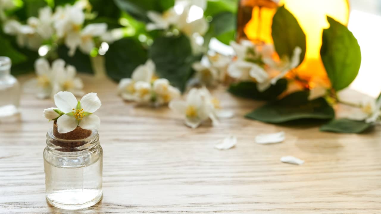 A strong Venus brings love, beauty, and success. Follow these 10 remedies with dedication to invite Venus’s blessings and transform your life. (Image: Canva) A strong Venus brings love, beauty, and success. Follow these 10 remedies with dedication to invite Venus’s blessings and transform your life. (Image: Canva)