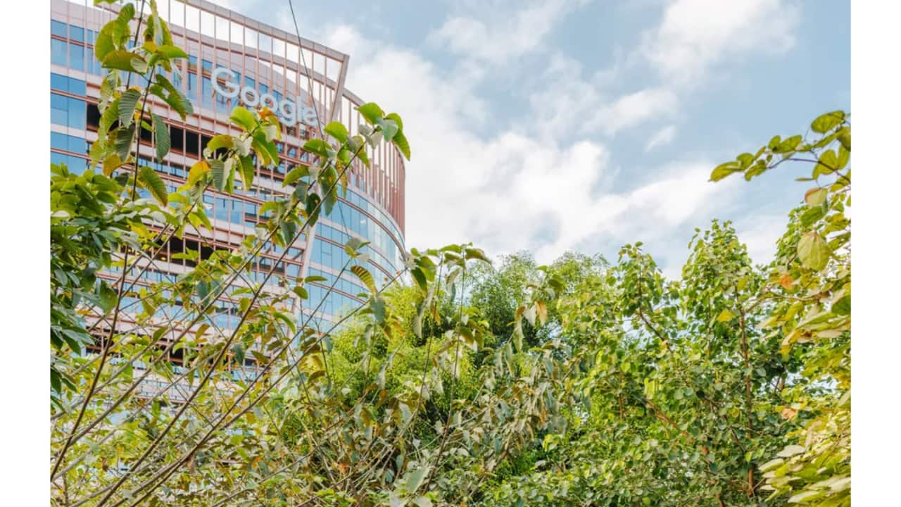 Sustainability is the prime focus