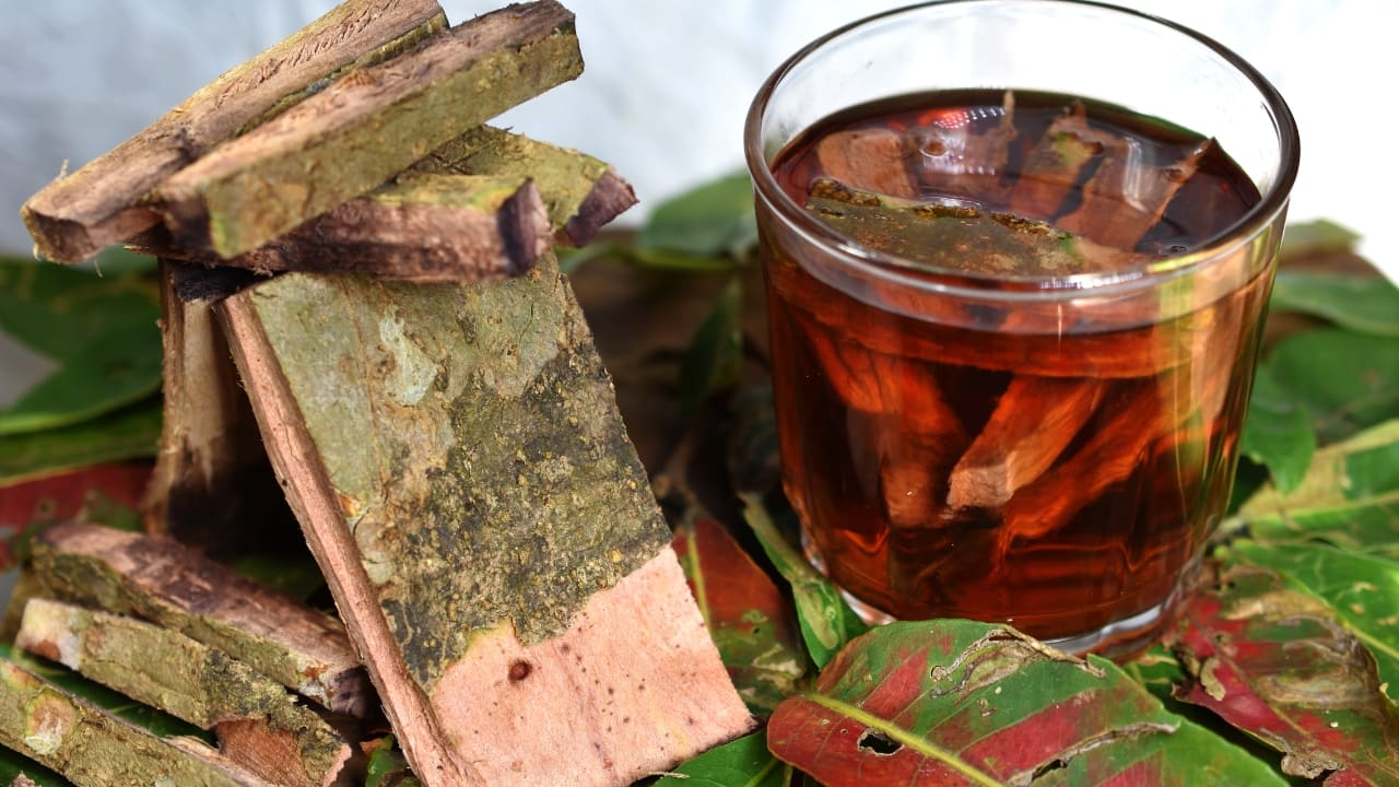 Arjuna bark: This is a time-tested Ayurvedic heart tonic. Boil Arjuna bark powder in water, strain, and drink the decoction once a day (Image: Canva)