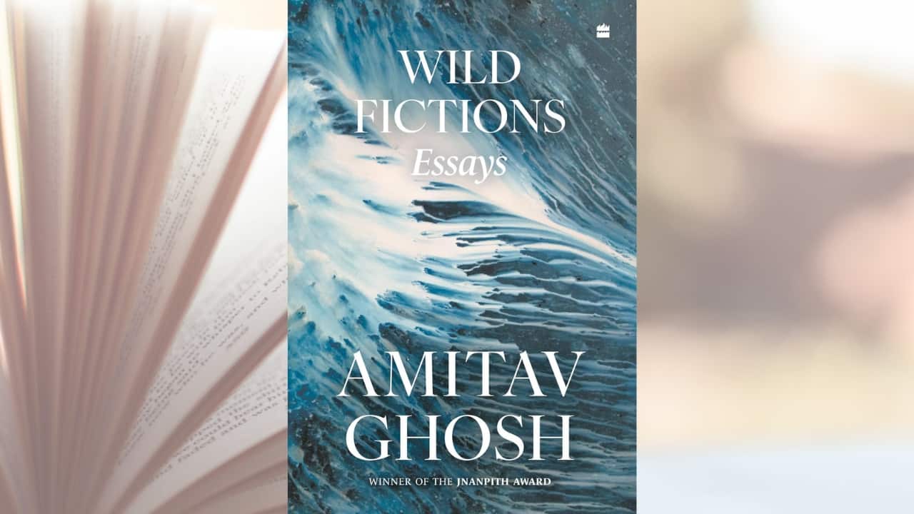 Book Extract: Wild Fictions