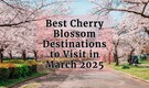 Top 10 Cherry Blossom Destinations to Visit in March 2025