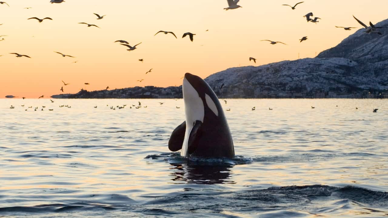 10 Must-Have Wildlife Experiences for Your March Bucket List