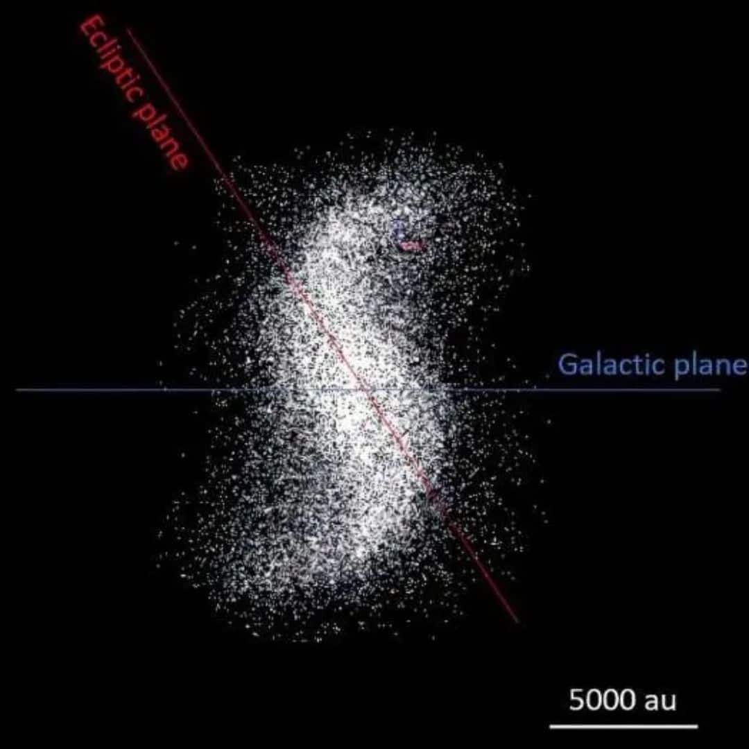 The Oort cloud and its spiral arms. (Image: Nesvorný et al.)