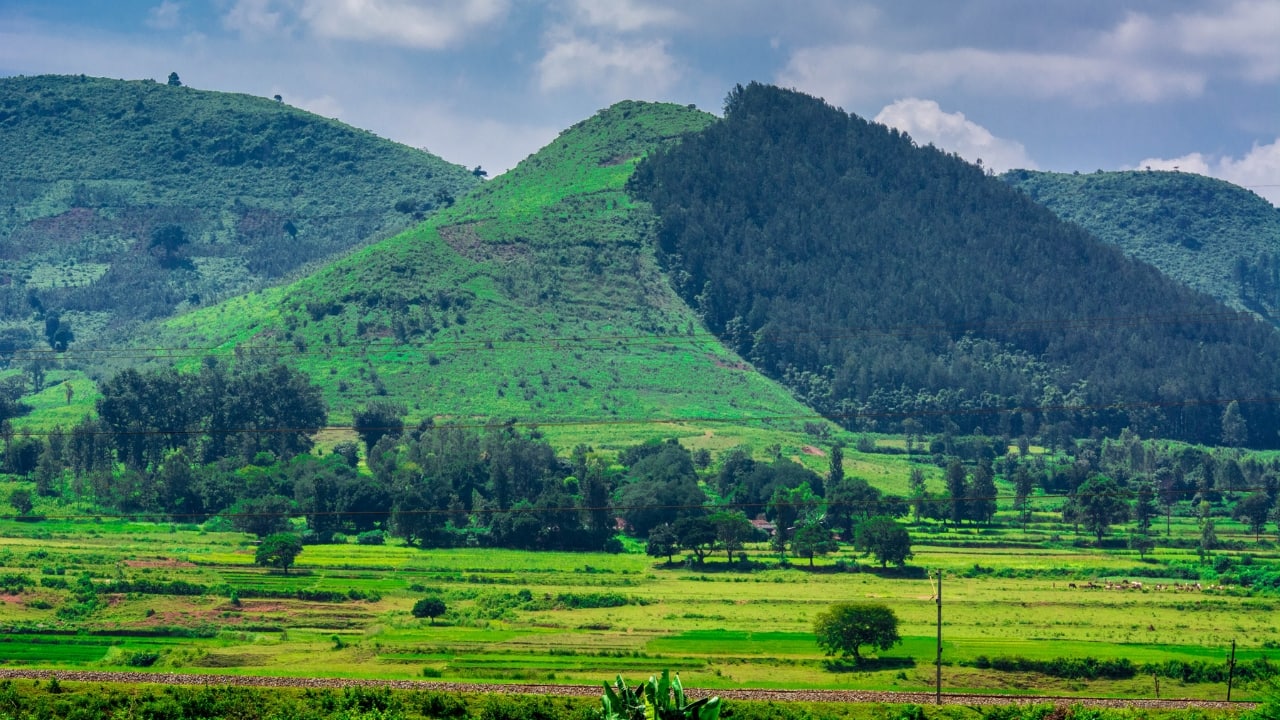 2. Araku Valley, Andhra Pradesh – Dream of a Coffee Lover Train rides have a certain enchanted quality, and the trip to Araku Valley is among the most beautiful in India. A coffee lover's dream come true, this misty valley winds across tunnels, hills, and waterfalls. Fresh coffee smells abound, and a visit to a nearby farm is absolutely necessary. See the million-year-old Borra Caves, soak in tribal culture at the museum, and sip organic Araku coffee while you view the clouds slink over the hills. (Image: Canva) 2. Araku Valley, Andhra Pradesh – Dream of a Coffee Lover Train rides have a certain enchanted quality, and the trip to Araku Valley is among the most beautiful in India. A coffee lover's dream come true, this misty valley winds across tunnels, hills, and waterfalls. Fresh coffee smells abound, and a visit to a nearby farm is absolutely necessary. See the million-year-old Borra Caves, soak in tribal culture at the museum, and sip organic Araku coffee while you view the clouds slink over the hills. (Image: Canva)