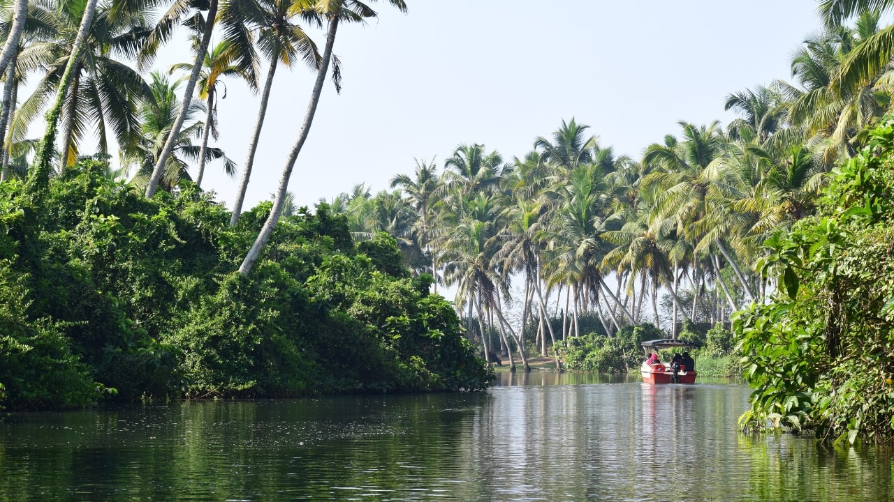 8. Poovar, Kerala – A Slice of Paradise Imagine floating cottages, golden beaches, and peaceful backwaters, all in one location. That is Poovar for you, a charming seaside town where the Arabian Sea meets the Neyyar River. Watch fishermen at work, boat across the mangrove forests, and spend your evenings at a floating resort, rocked to sleep by the soft waves. This is the ideal area to simply relax or a romantic vacation spot. (Image: Canva) 8. Poovar, Kerala – A Slice of Paradise Imagine floating cottages, golden beaches, and peaceful backwaters, all in one location. That is Poovar for you, a charming seaside town where the Arabian Sea meets the Neyyar River. Watch fishermen at work, boat across the mangrove forests, and spend your evenings at a floating resort, rocked to sleep by the soft waves. This is the ideal area to simply relax or a romantic vacation spot. (Image: Canva)