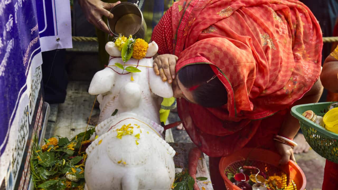 3. Guwahati | A devotee at Sukleswar temple whispers wishes into Nandi’s ear, believing in Lord Shiva’s divine blessings on the holy occasion of Maha Shivratri in Guwahati. (Image: PTI)
