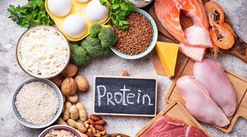 protein