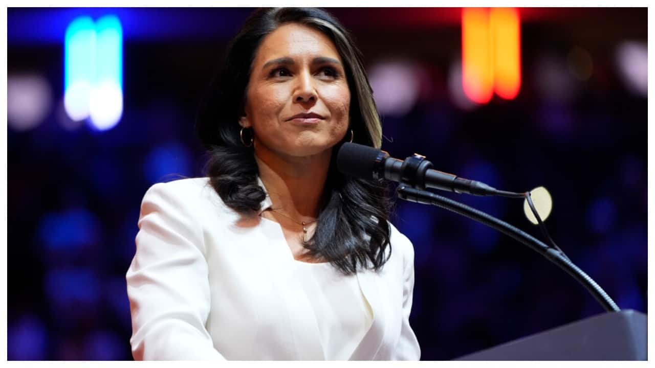 Tulsi Gabbard orders firing of over 100 intelligence officers for explicit chats