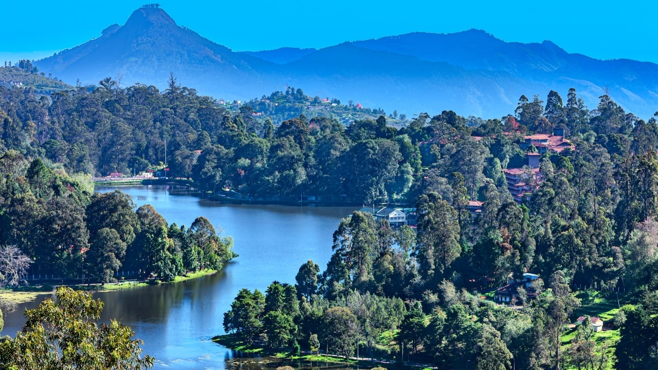6. Kodaikanal, Tamil Nadu – A Romantic South Indian Wedding Spot Kodaikanal’s misty hills, pine forests, and lakeside venues create a magical wedding atmosphere. Opt for a quiet resort or a charming heritage bungalow for a picture-perfect ceremony. (Image: Canva)