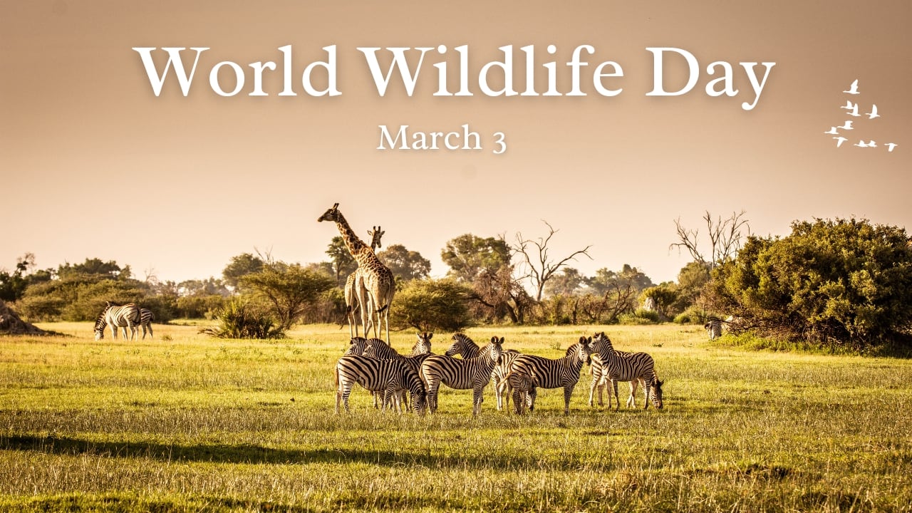 World Wildlife Day 2025: Date, Theme, Significance, and More