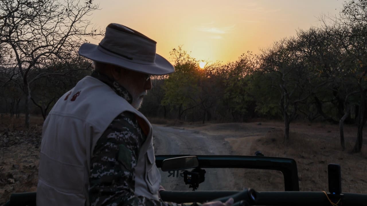 With the Prime Minister’s visit bringing renewed attention to Gir’s conservation success, there has never been a better time to explore this untamed paradise and witness the grandeur of the Asiatic lions in their last remaining natural habitat. (Image: PTI)