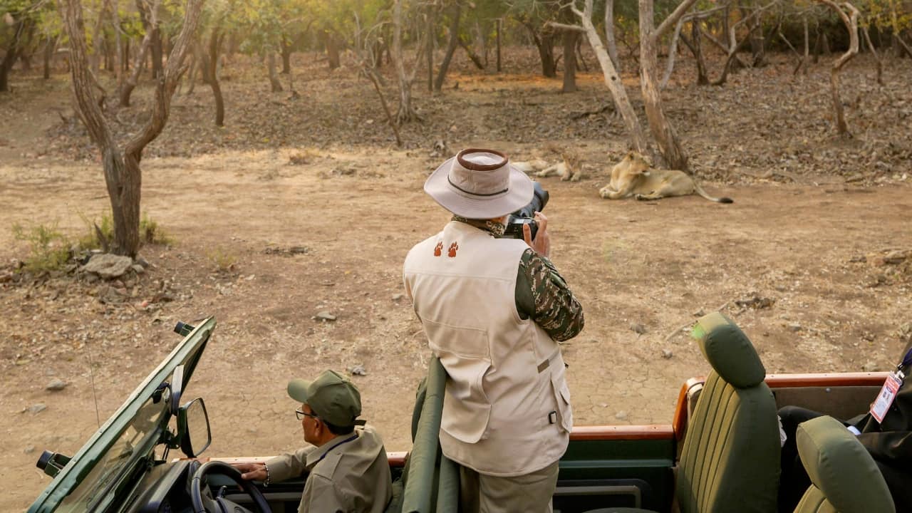 PM Modi to Chair the National Board for Wildlife Meeting Beyond the safari, PM Modi is set to chair the seventh meeting of the National Board for Wildlife (NBWL) at Sasan Gir, where key decisions on wildlife conservation will be discussed. The NBWL comprises 47 members, including chief wildlife wardens, state representatives, NGOs, and the Chief of Army Staff. (Image: PTI)