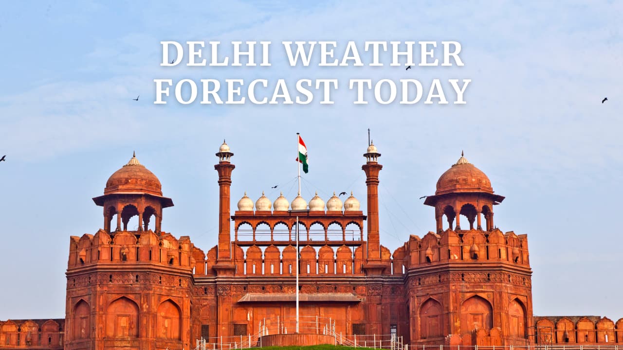 Delhi weather: City wakes up to sunny morning, minimum temp settles at 24°C