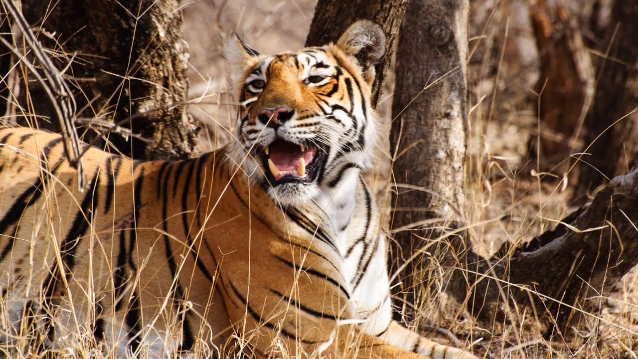 Visiting Wildlife sanctuary: 10 photography tips for beautiful photos