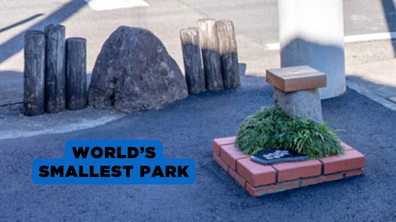 World’s Smallest Park: This park in Japan is smaller than a doormat