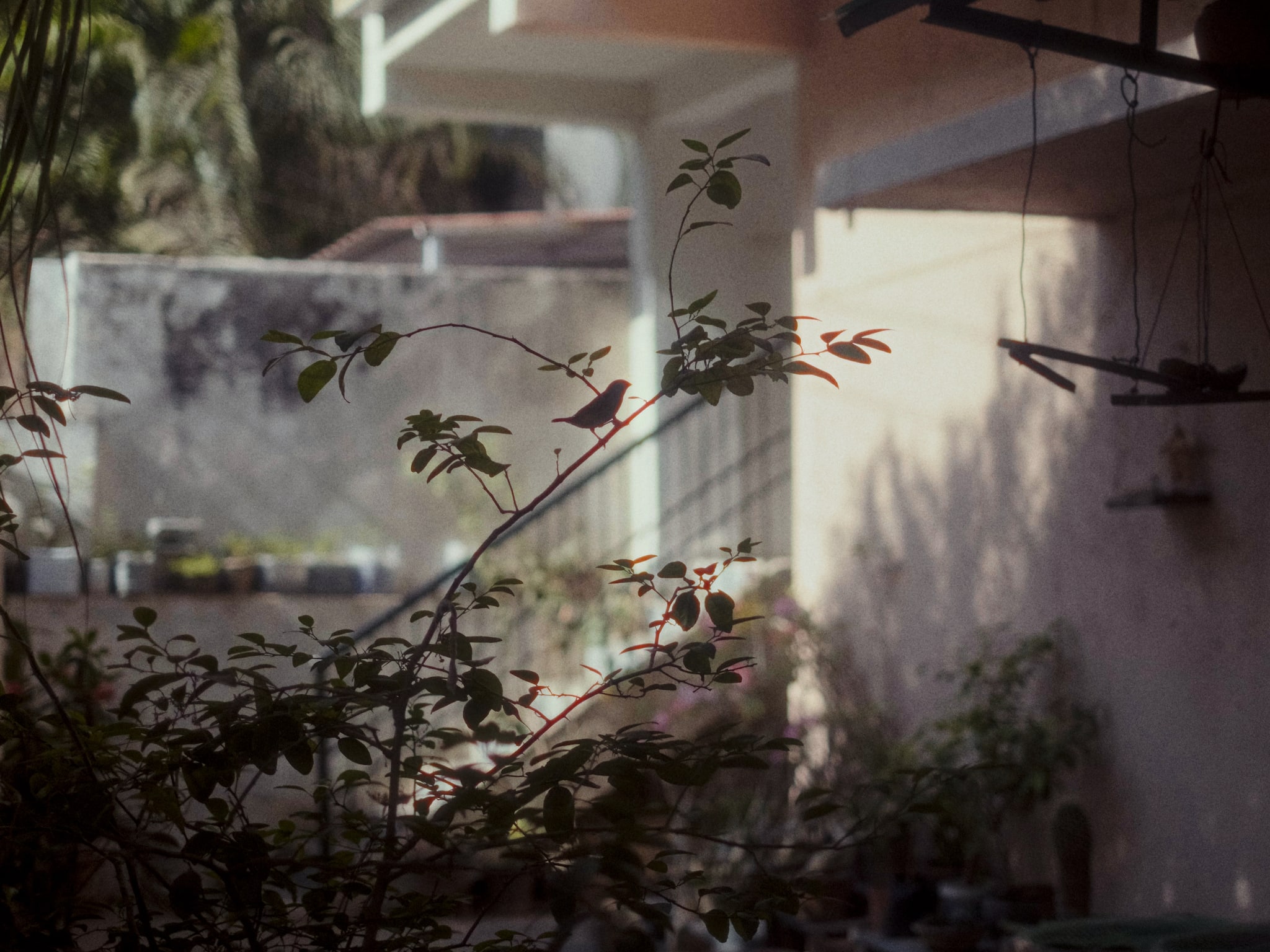 A still from the film.