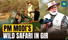 World Wildlife Day: PM Modi's Lion Safari at Gir National Park In Gujarat