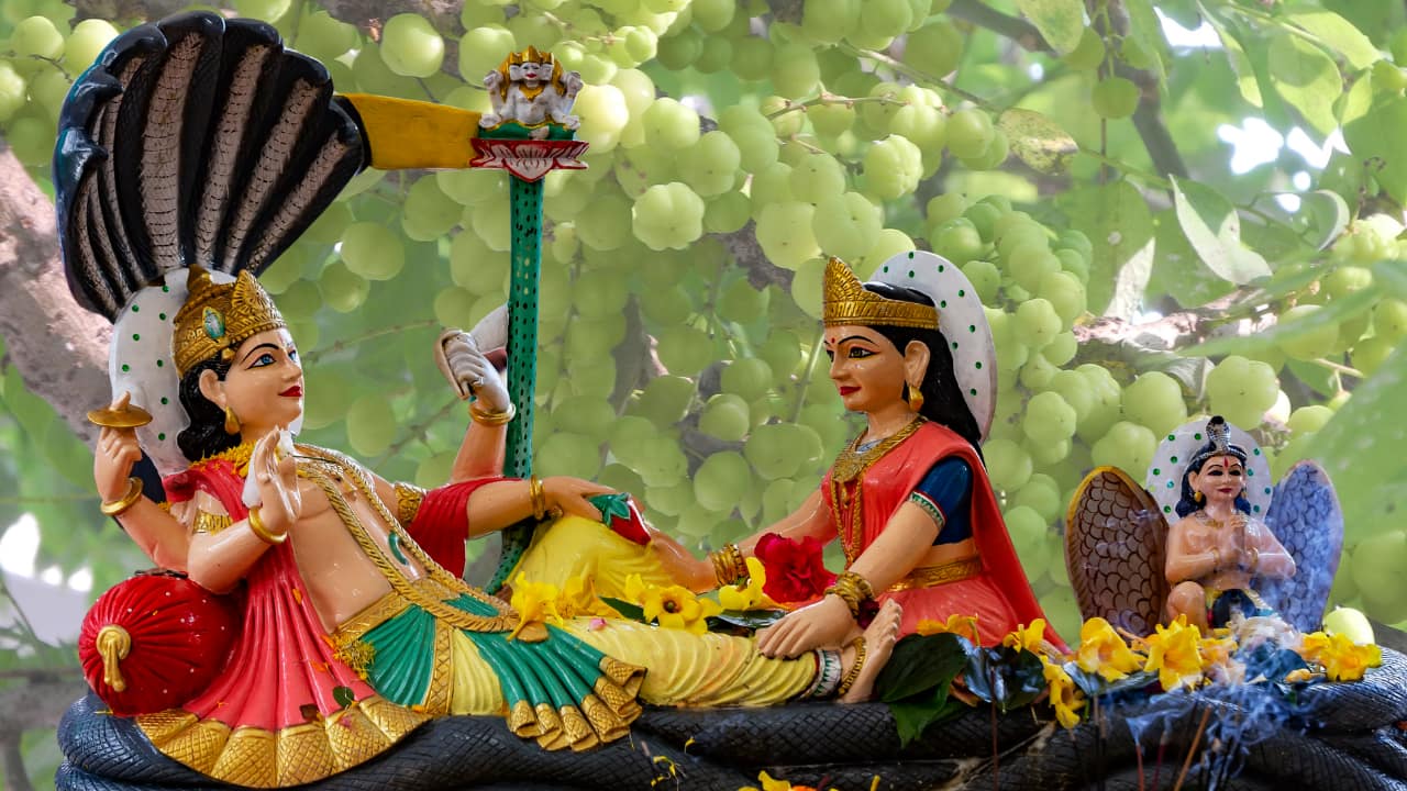 Amalaki Ekadashi Vrat 2025: Date, Time, Rituals and Significance