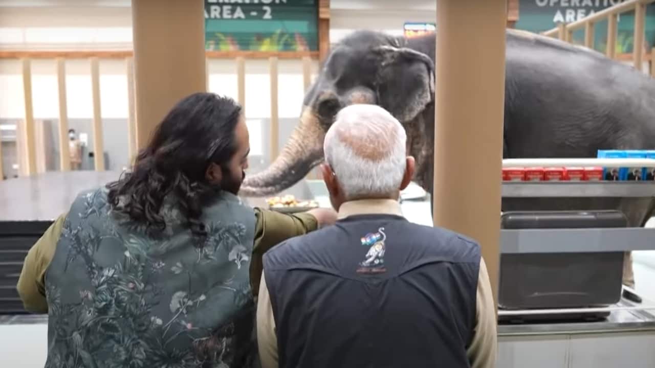 Inside Vantara's state-of-the-art elephant hospital—the world's largest