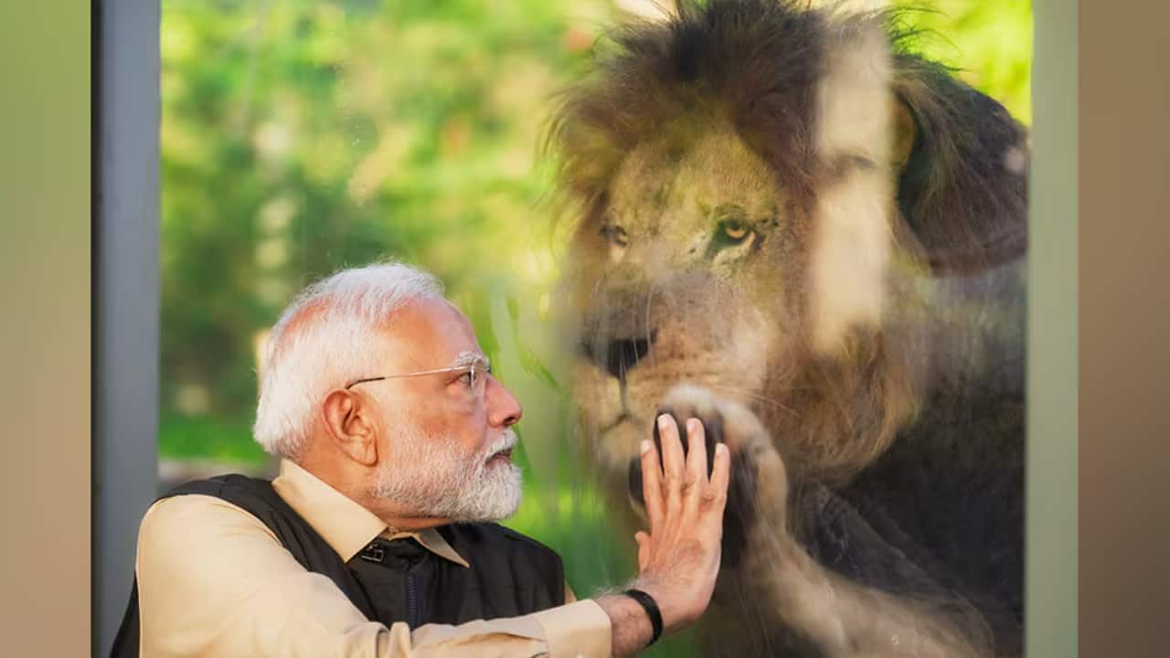 The facility provides world-class veterinary care, offering a safe haven for animals rescued from abuse, illegal captivity, and life-threatening conditions. (Image: Narendra Modi)