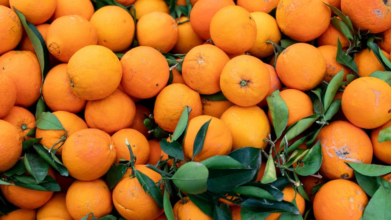 Health benefits of oranges: Why you must add this citrus fruit in your diet Health benefits of oranges: Why you must add this citrus fruit in your diet
