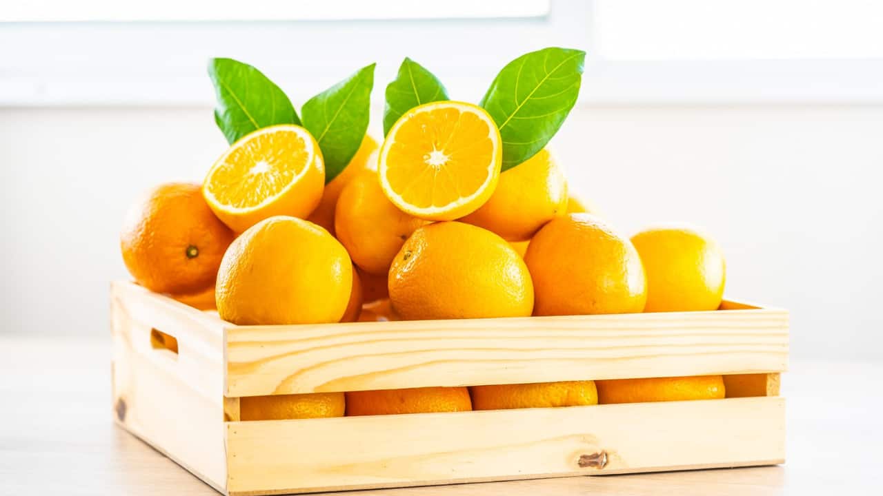 oranges