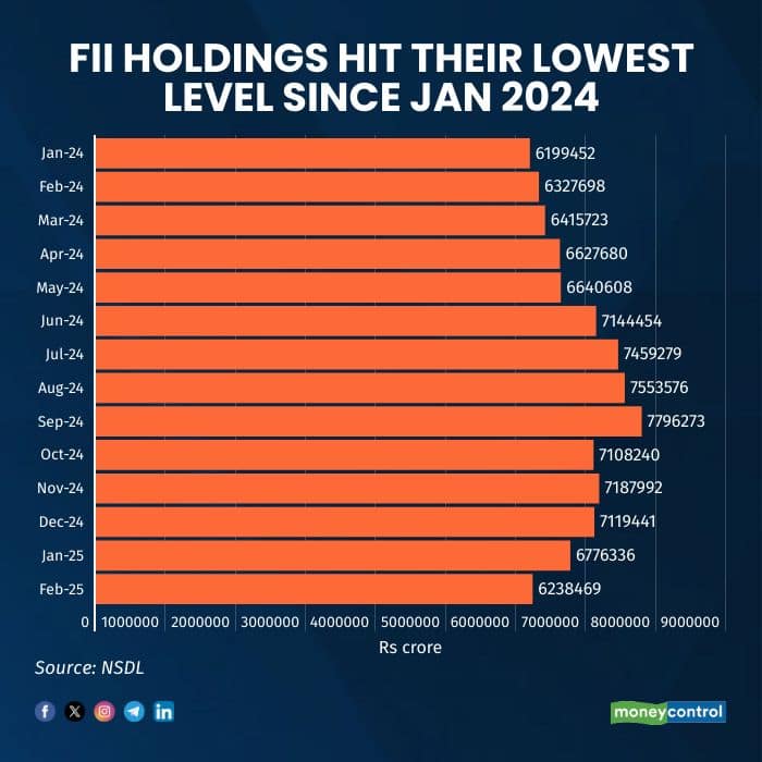 fii holdings