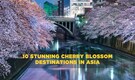 From Japan to India: 10 Stunning Cherry Blossom Destinations in Asia